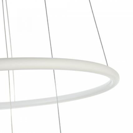 Maytoni - LED Lustr na lanku NOLA LED/36W/230W
