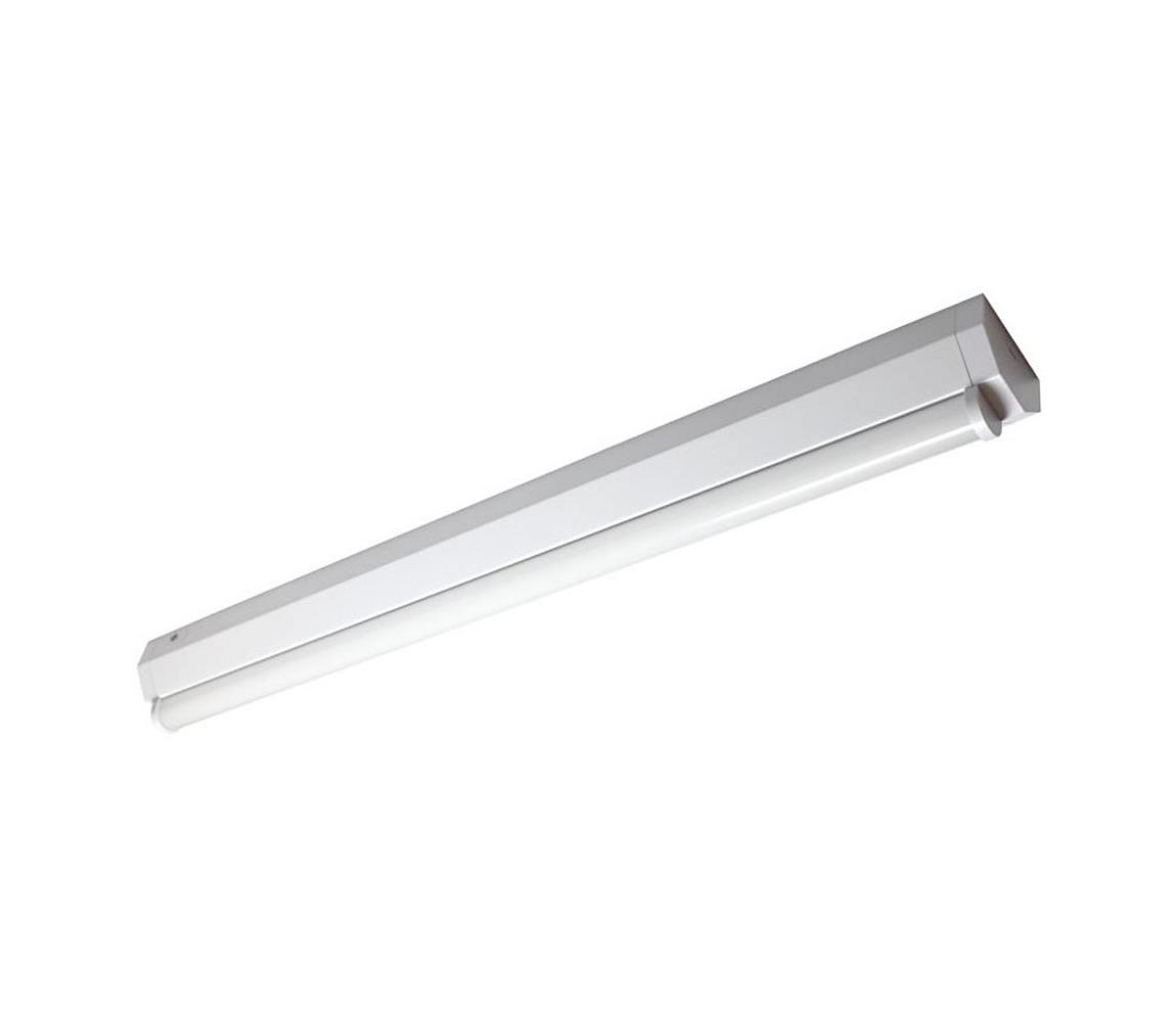 Müller-Licht 20300516