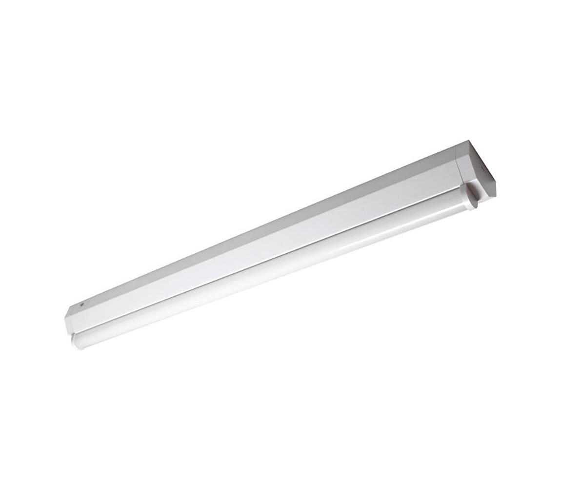 Müller-Licht 20300519