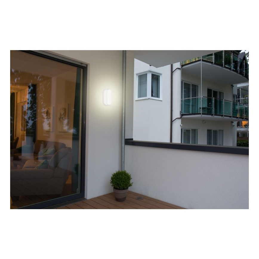 Müller-Licht - LED Venkovní stropní svítidlo se senzorem IPSUM LED/8W/230V IP54