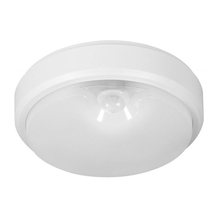 Müller-Licht - LED Venkovní stropní svítidlo se senzorem PICTOR LED/8W/230V IP54