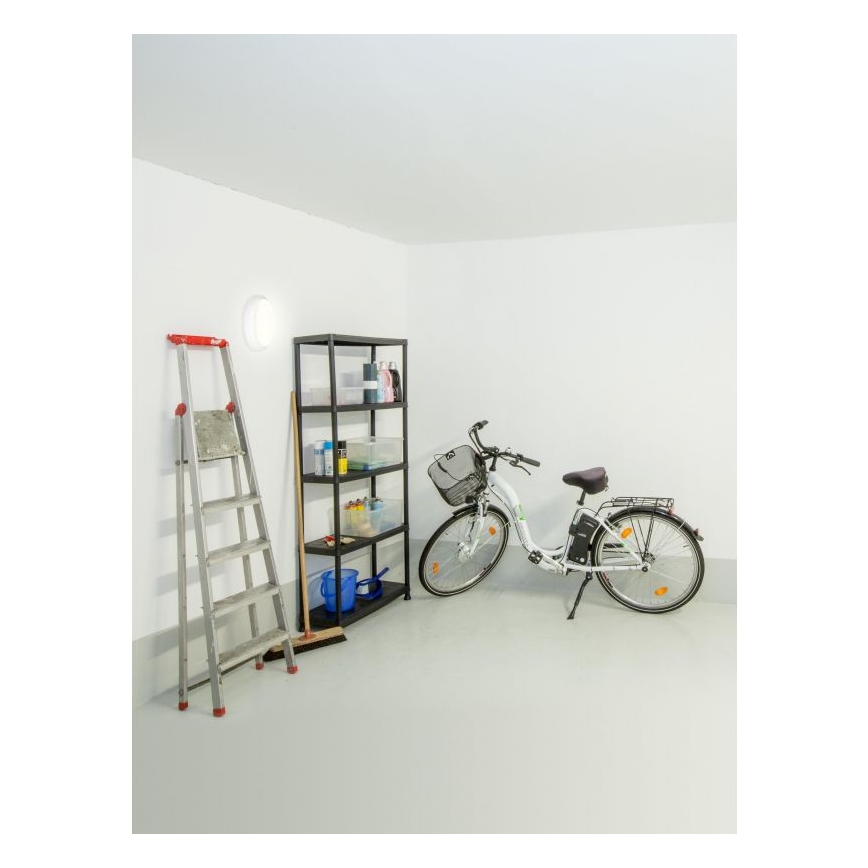 Müller-Licht - LED Venkovní stropní svítidlo se senzorem PICTOR LED/8W/230V IP54