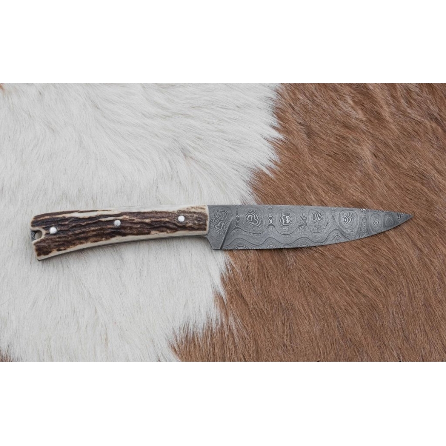 Myslivecký nůž zavazák 12 cm jelení paroh