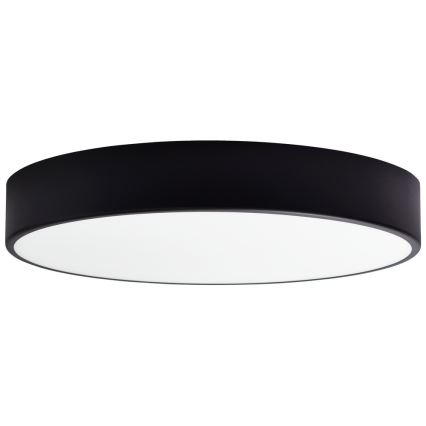 Náhradní sklo ke stropnímu svítidlu CLEO 50 cm sklo