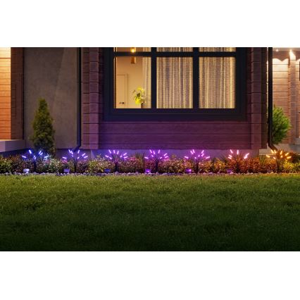 Nanoleaf - SADA 2x LED RGBW Solární lampa LED/1200 mAh IP65 + dálkové ovládání