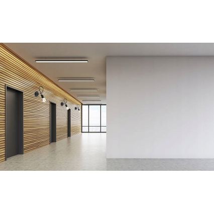 Nástěnná lampa 1xE27/20W/230V černá