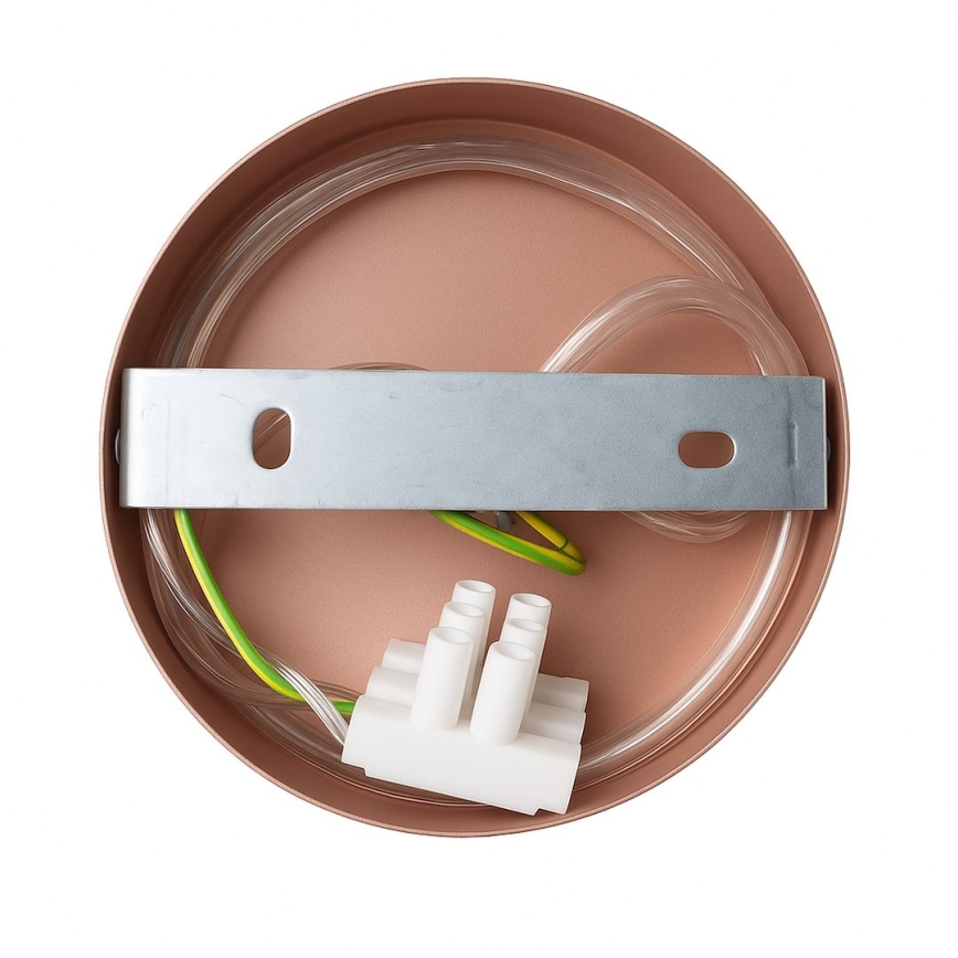 Nástěnná lampa CAPITAL 1xGX53/15W/230V rose gold