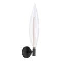 Nástěnná lampa NORDIC 1xG9/5W/230V černá/čirá