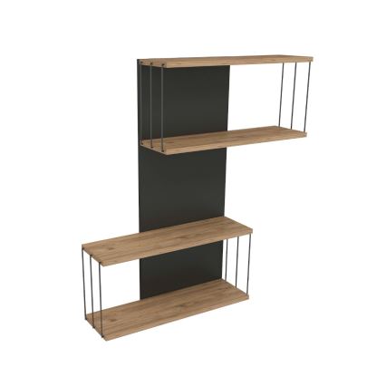 Nástěnná police DESTAN 65x96x19 cm antracit/hnědá