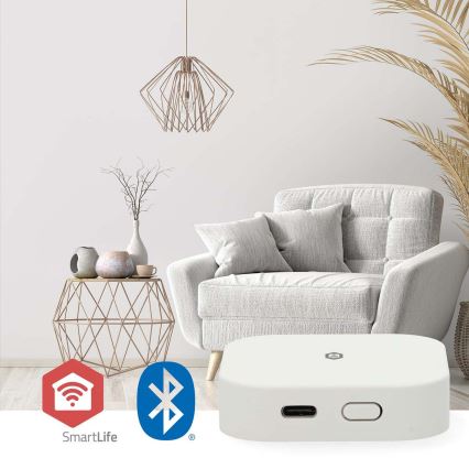 Chytrá brána SmartLife 5V Wi-Fi