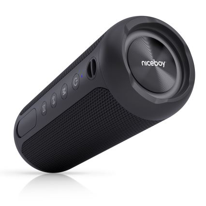 Niceboy Polaris - LED Bezdrátový reproduktor s mikrofonem 30W/4000 mAh IPX7 černá