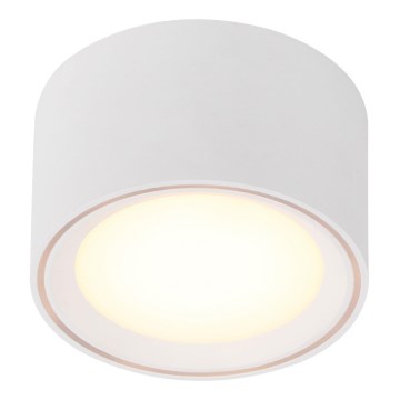 Nordlux - LED Bodové svítidlo FALLON LED/5,5W/230V bílá