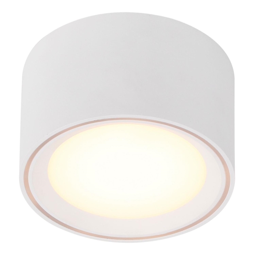 Nordlux - LED Bodové svítidlo FALLON LED/5,5W/230V bílá