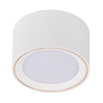 Nordlux - LED Bodové svítidlo FALLON LED/5,5W/230V bílá