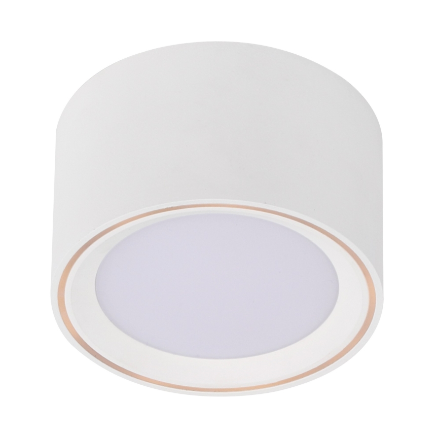 Nordlux - LED Bodové svítidlo FALLON LED/5,5W/230V bílá