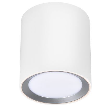 Nordlux - LED Koupelnové bodové svítidlo LANDON LED/6,5W/230V IP44 bílá