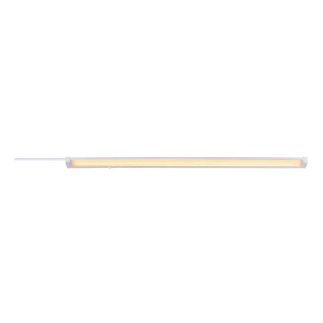 Nordlux - LED Podlinkové svítidlo PRESTON LED/8W/230V 3000/4000K 55 cm