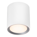 Nordlux - LED Stmívatelné koupelnové bodové svítidlo LANDON LED/6,5W/230V IP44 bílá