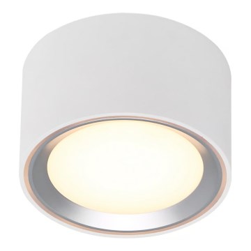 Nordlux - LED Stmívatelné stropní svítidlo FALLON LED/5,5W/230V 2700K pr. 10 cm bílá