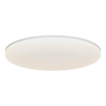 Nordlux - LED Stropní svítidlo VIC LED/24W/230V IP40