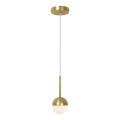 Nordlux - Lustr na lanku CONTINA 1xG9/5W/230V mosaz