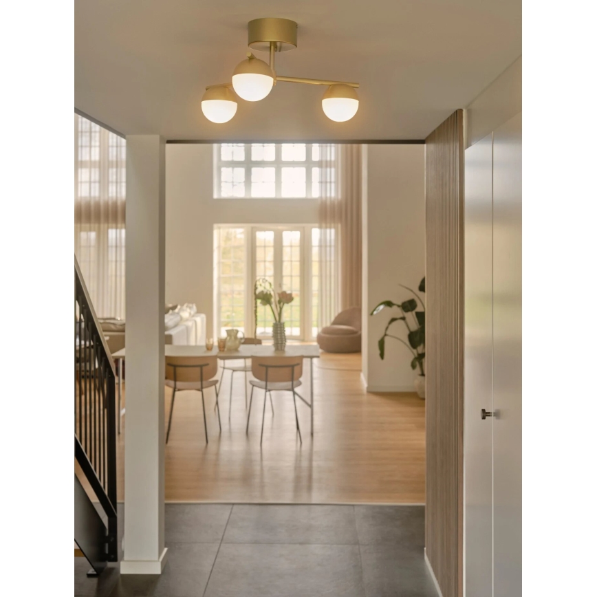 Nordlux - Přisazený lustr CONTINA 3xG9/5W/230V mosaz