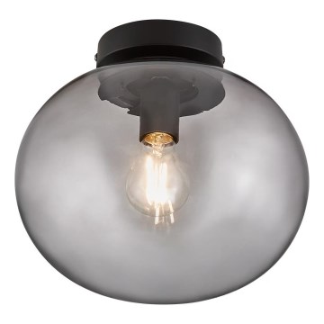 Nordlux - Stropní svítidlo ALTON 1xE27/25W/230V