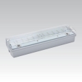 Nouzové svítidlo CARLA LED LED/5,51W/230V IP65