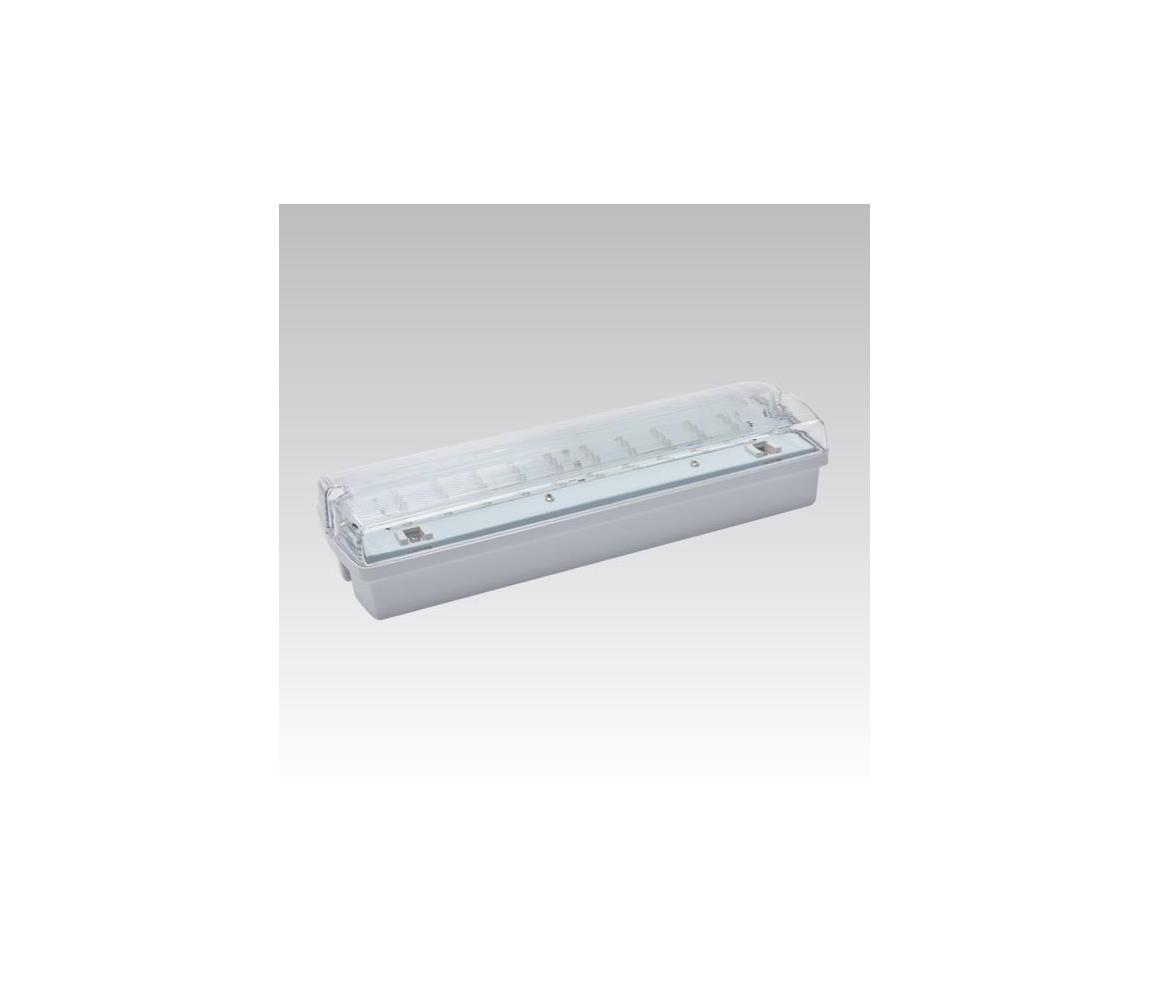 NBB Nouzové svítidlo CARLA LED LED/5,51W/230V IP65 N0351