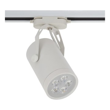 Nowodvorski 5947 - LED bodové svítidlo STORE LED SMD/5W/230V Nowodvorski 5947 - LED bodové svítidlo STORE LED SMD/5W/230V
