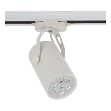 Nowodvorski 5948 - LED bodové svítidlo STORE LED SMD/7W/230V Nowodvorski 5948 - LED bodové svítidlo STORE LED SMD/7W/230V