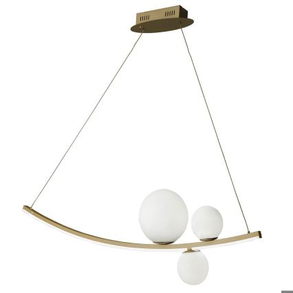 Ondaluce - LED Stmívatelný lustr na lanku ALTALENA LED/48W/230V zlatá/bílá