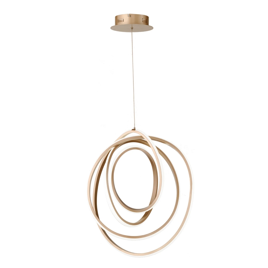 Ondaluce - LED Stmívatelný lustr na lanku GOLDEN LED/50W/230V pr. 50 cm zlatá