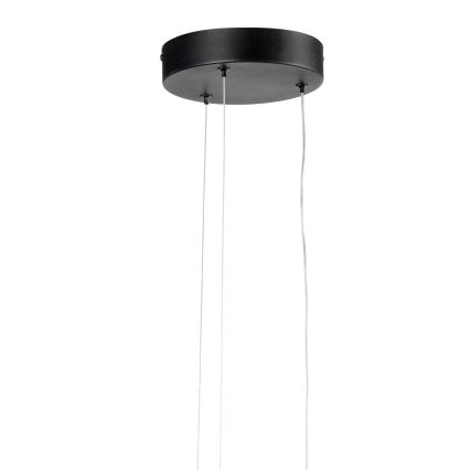 ONLI - LED Lustr na lanku DAFNE LED/30W/230W 4000K černá