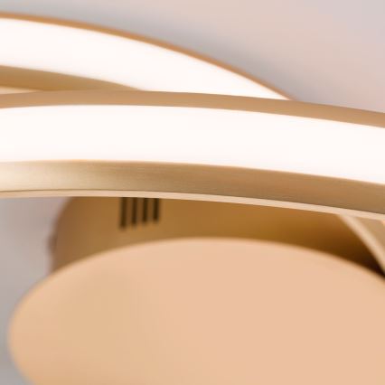 LED Stmívatelné stropní svítidlo CIRCUS LED/30W/230V zlatá