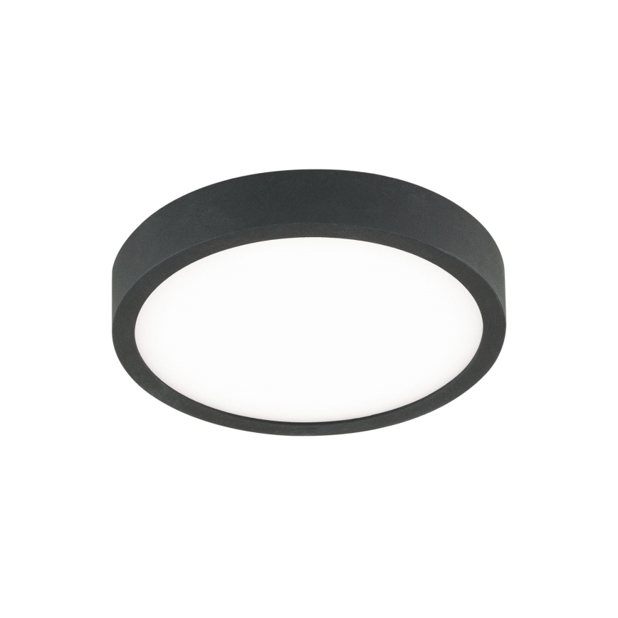 LED Stropní svítidlo BULLY LED/12W/230V pr. 14 cm černá