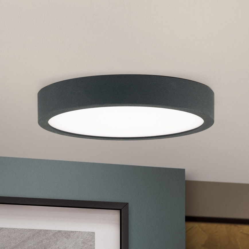 LED Stropní svítidlo BULLY LED/12W/230V pr. 14 cm černá