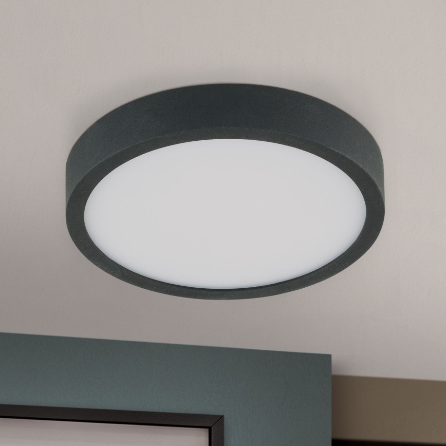 LED Stropní svítidlo BULLY LED/12W/230V pr. 14 cm černá