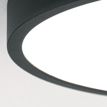 LED Stropní svítidlo BULLY LED/12W/230V pr. 14 cm černá