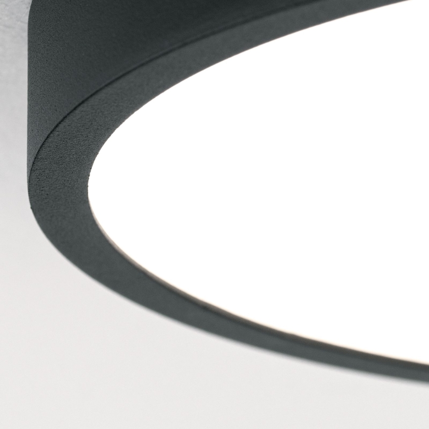LED Stropní svítidlo BULLY LED/12W/230V pr. 14 cm černá