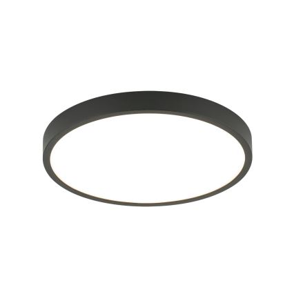 LED Stropní svítidlo BULLY LED/24W/230V pr. 24 cm černá