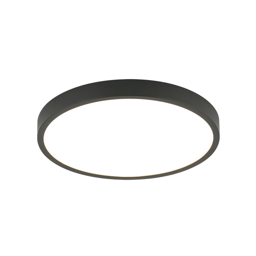LED Stropní svítidlo BULLY LED/24W/230V pr. 24 cm černá