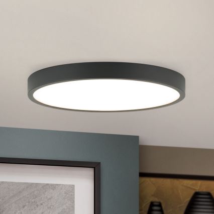 LED Stropní svítidlo BULLY LED/24W/230V pr. 24 cm černá