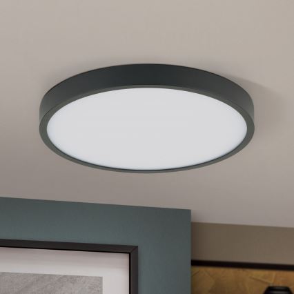 LED Stropní svítidlo BULLY LED/24W/230V pr. 24 cm černá