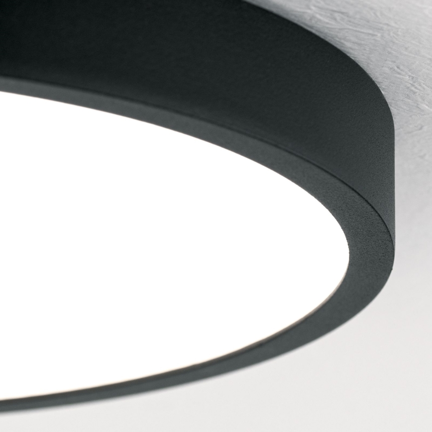 LED Stropní svítidlo BULLY LED/24W/230V pr. 24 cm černá