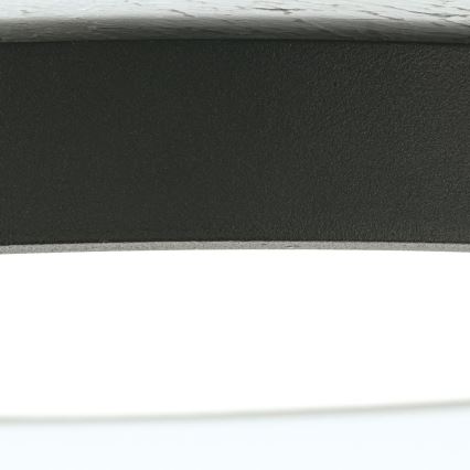 LED Stropní svítidlo BULLY LED/24W/230V pr. 24 cm černá