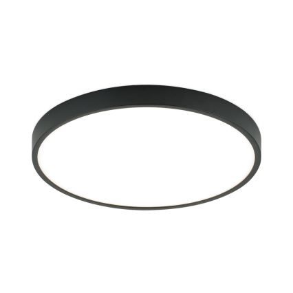 LED Stropní svítidlo BULLY LED/28W/230V pr. 28 cm černá