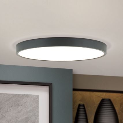 LED Stropní svítidlo BULLY LED/28W/230V pr. 28 cm černá