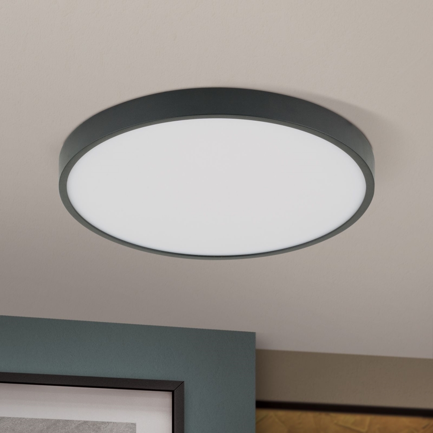 LED Stropní svítidlo BULLY LED/28W/230V pr. 28 cm černá