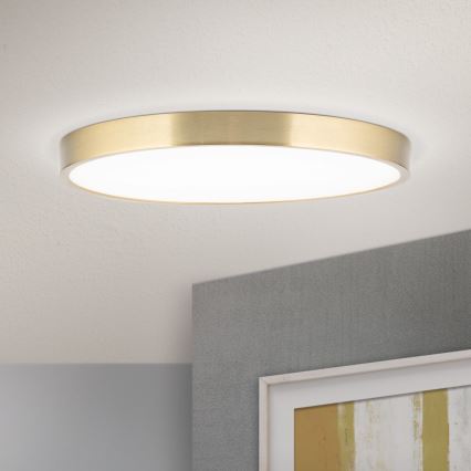 LED Stropní svítidlo BULLY LED/28W/230V pr. 28 cm zlatá